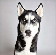 我跟B超杠上了！这一篇是专业性很强的文章！