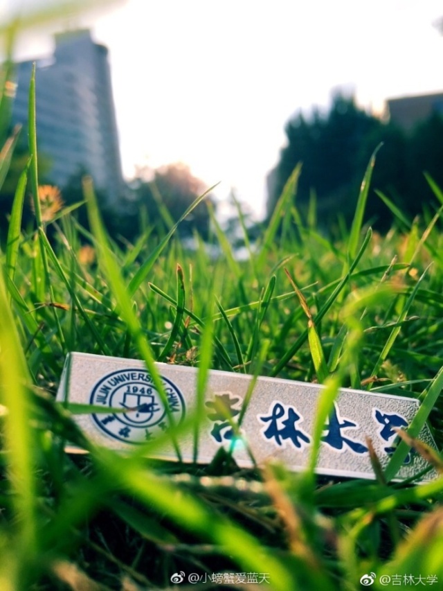 林志玲360无死角是真的美,全球最美360无死角的美女