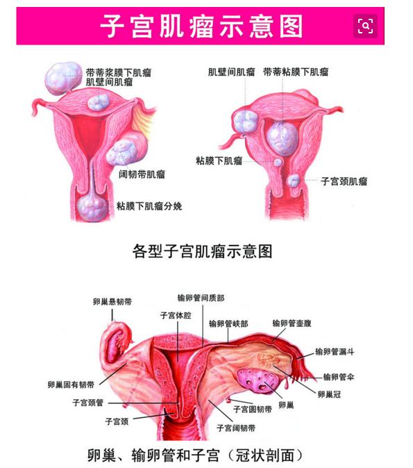 月子注意事项大全及细节,月子注意事项及月子餐