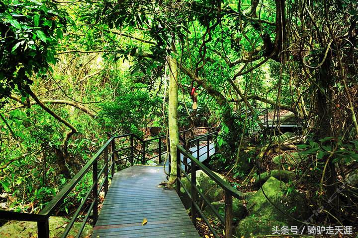 骑驴走天涯完整版,骑驴上三亚