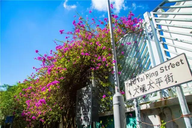 香港tvb的发展历程,香港tvb怀旧之旅