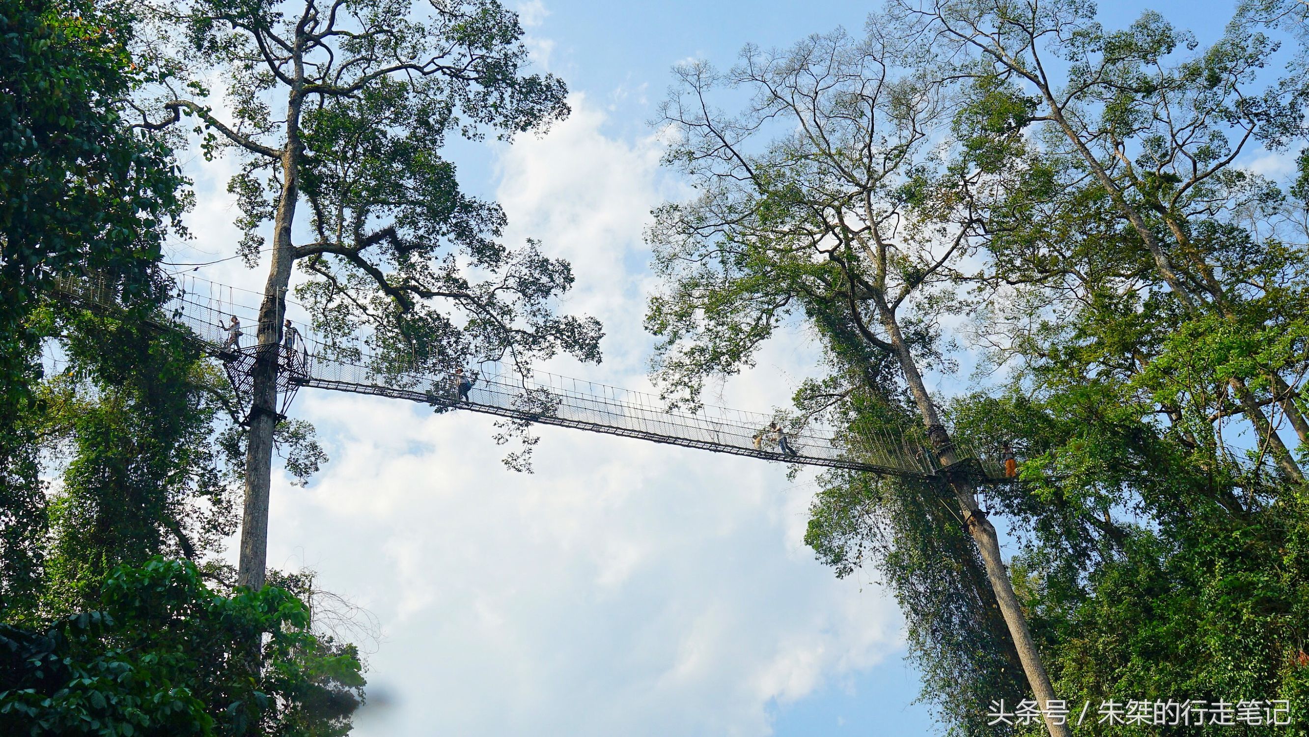版纳颈椎治疗,西双版纳治疗颈椎好的按摩仪器