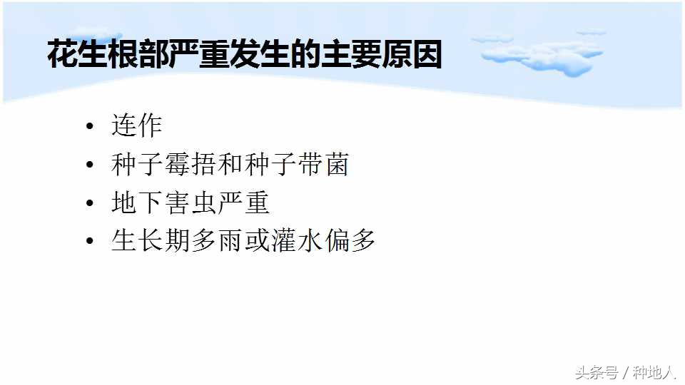 已经开始种花生了怎么种,马上要种花生了