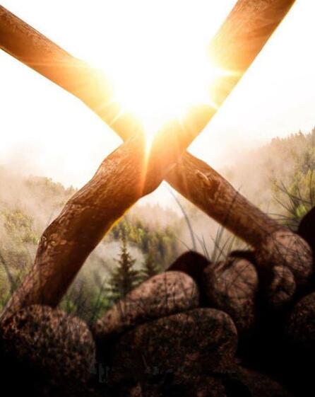 金刚狼3狼叔死后复活,金刚狼3罗根死了