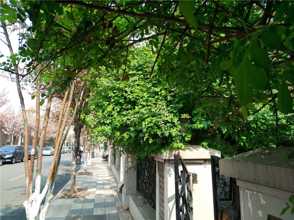 慢行津门，悠*行游**摄——小C的遇见天津之旅