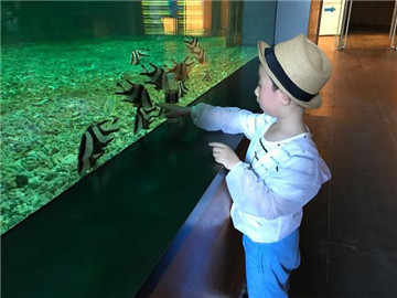 三亚带娃全家游自由行攻略,三亚自由行5天4夜最佳攻略