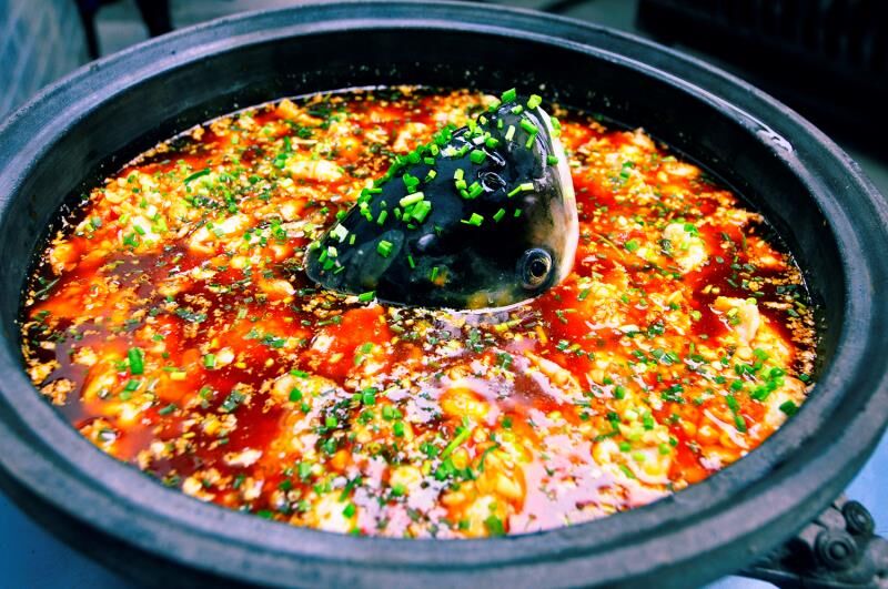 蒲江成佳采茶体验价格,四川蒲江成佳采茶