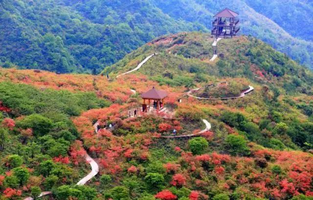 武汉⇋珠海高铁今日开通！这个春天，一起去感受那些美哭的风景！