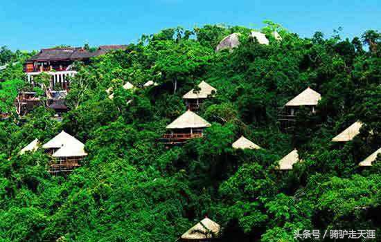 骑驴走天涯完整版,骑驴上三亚