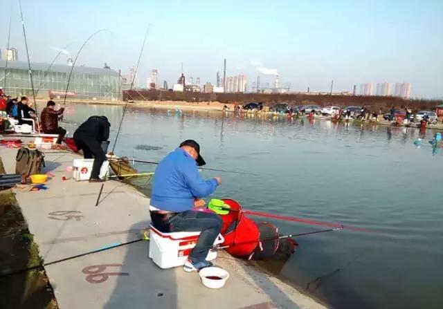 河北垂钓大赛,河北省第十六届省运会钓鱼比赛