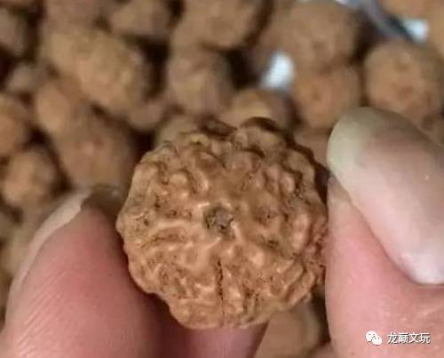 爆肉金刚咋看真假,金刚1024正品和仿品