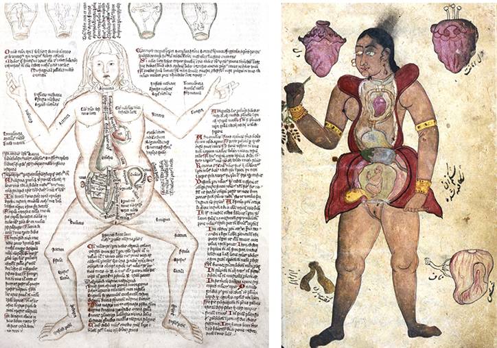 古今中外绘画欣赏,解剖全国绘画优秀作品