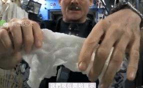 上班就像一条虫,上班是条虫下班是条龙壁纸