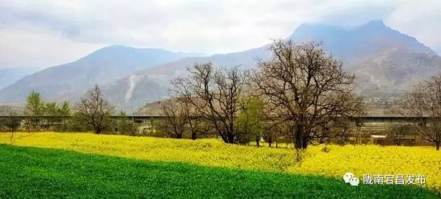 愿和你相遇,宕昌春晚春暖花开