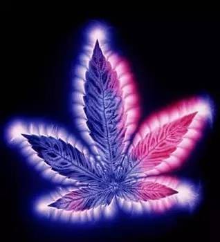 神秘光波的另类治疗法｜克里安摄影术