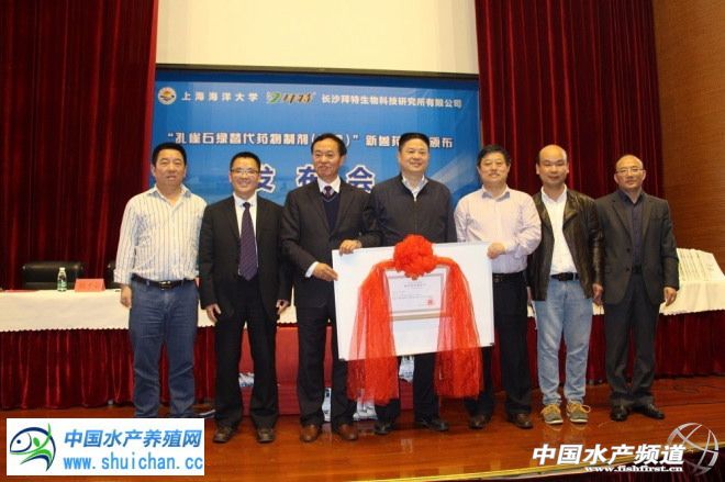 治水霉病的专用药,水霉病特效药市场