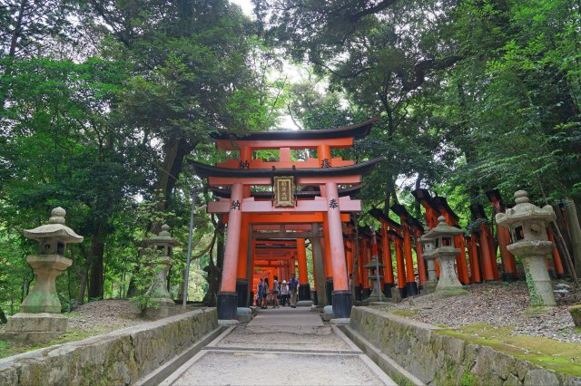 念念不忘必有回响日语,念念不忘必有回响再次相见