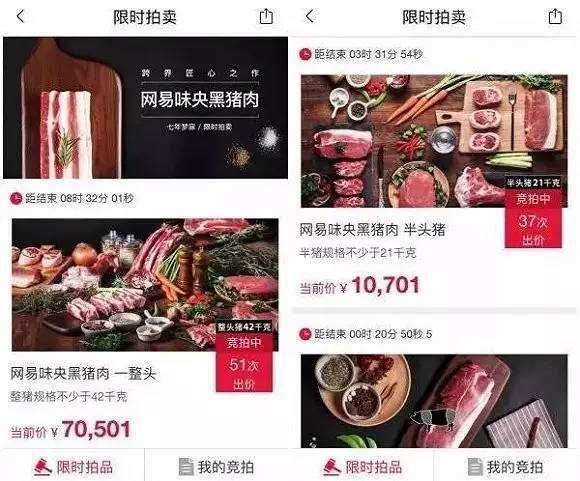 网易丁磊的猪怎么样了,网易养猪丁磊现状