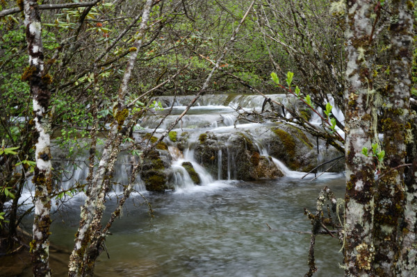 九寨黄龙成都自由行6日,成都九寨沟黄龙五天四晚自由行