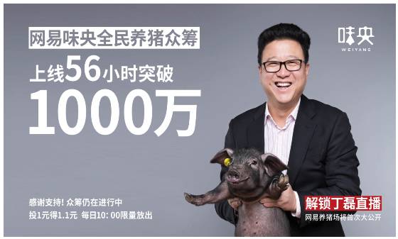 网易丁磊的猪怎么样了,网易养猪丁磊现状