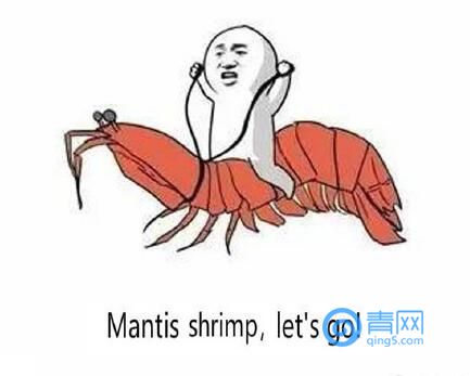 “注胶皮皮虾”视频刷屏青岛人笑了：不吃别浪费