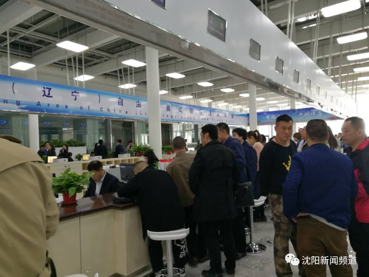 沈阳自贸区来了！企业坐上“自贸快车”，百姓海淘无需代购！