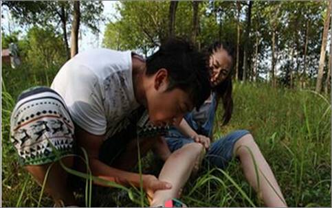 狗狗咬伤主人怎么处理伤口,猫狗咬伤如何正确处理