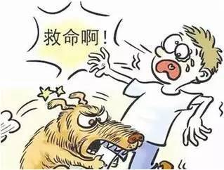 狗狗咬伤主人怎么处理伤口,猫狗咬伤如何正确处理