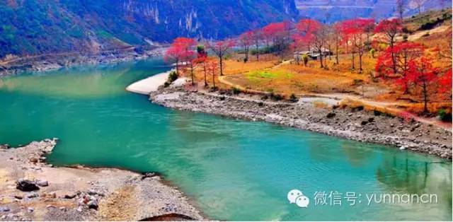 大理人怎么在大理旅游,大理人出游一般去哪里