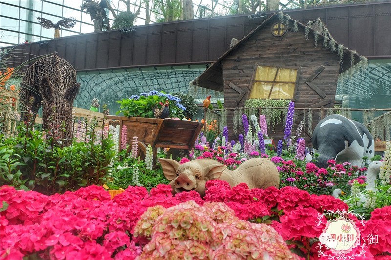 春节旅游新加坡,还能不能春节旅游去新加坡