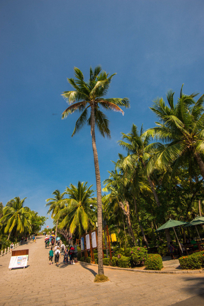 蓝天白云,椰风海韵,去三亚散散心吧