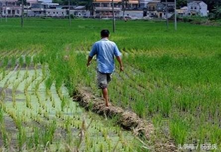 承包土地4年赔50万怎么办,承包土地被收回怎么补偿