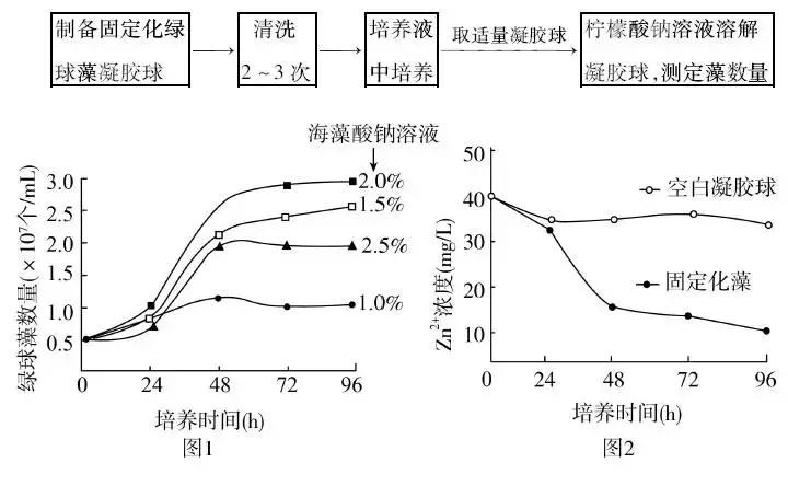生物技术实践视频,生物技术实践