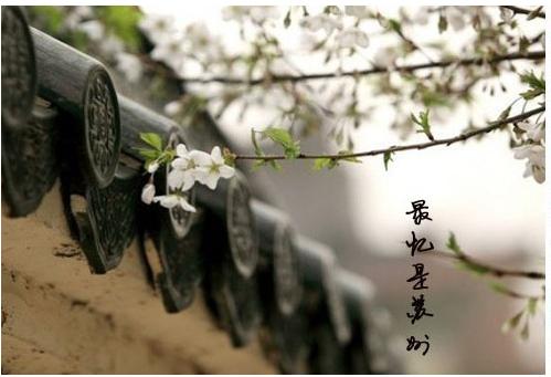 国货种草品牌大全,国货种草必备品种