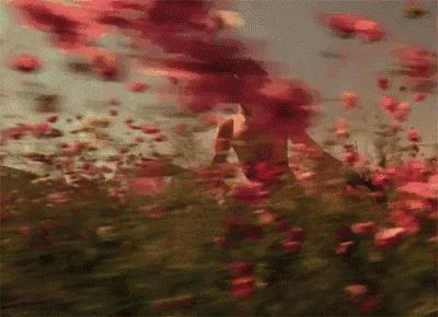 小窝收纳神器,拯救你的小窝