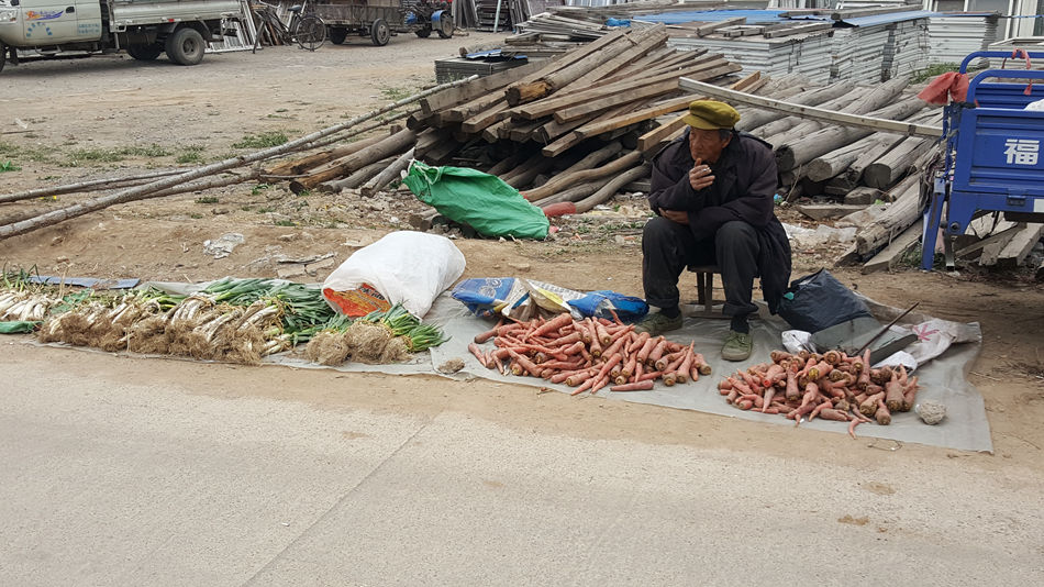 唐山市乐亭县大集,河北唐山乐亭大集