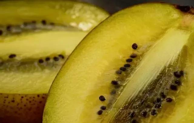 新西兰的奇异果为什么好,新西兰新鲜奇异果