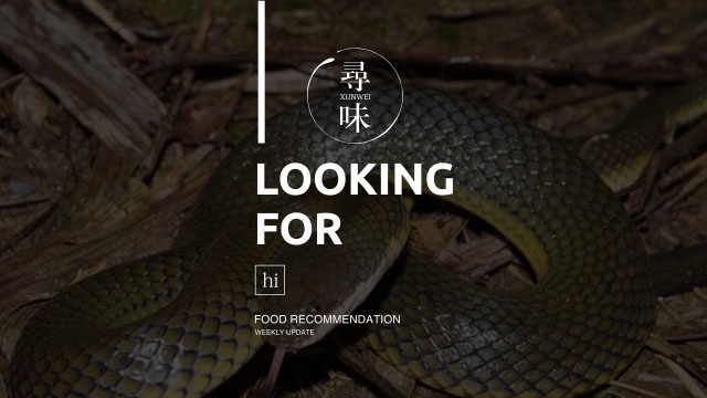 美食专题视频,美食推荐蛇