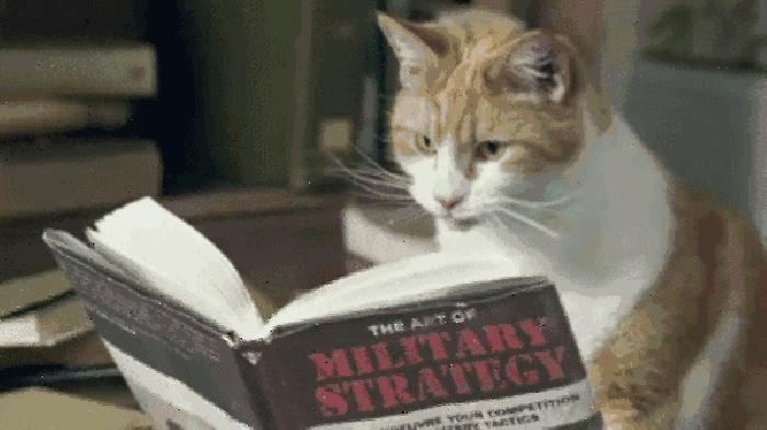 教育地图，20出头的职场菜鸟，也敢要月薪2W？