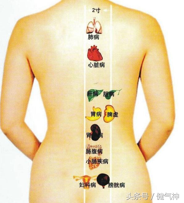 中医自测小方法,中医个人体质自测方法图