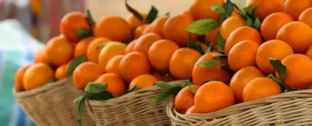 橙中贵族，美味之最：伦晚