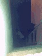 不吓人鬼片完整版,关于尿不湿的恐怖片