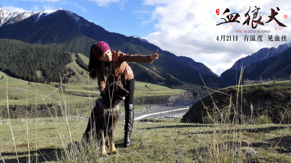 血狼犬电影口碑排行榜,投资血狼犬的电影为什么血本无归