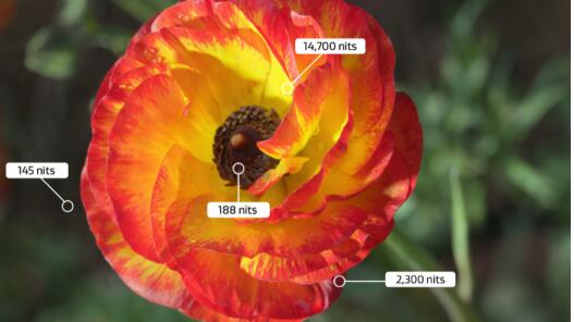 雷鸟电视和小米电视哪个好一点些,同尺寸雷鸟电视和小米电视哪个好