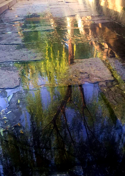 济南几大怪,济南10大怪