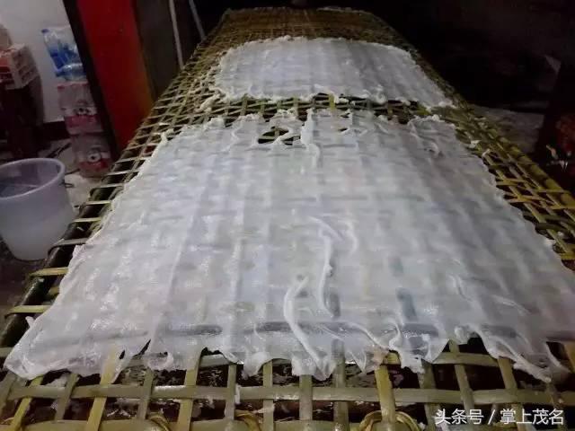 跟美女小编扫遍茂名小吃，不流口水算我输