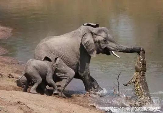 写童话的技巧和方法动画,写童话怎么写300字