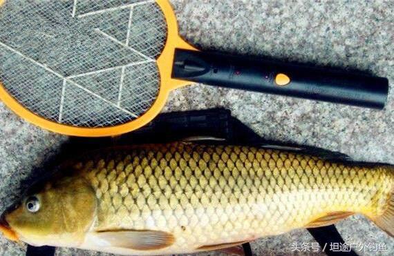 黑坑鲤鱼4.8浮漂选择几克合适,钓鲤鱼浮漂的正确选择与使用