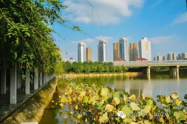 长沙民政职业学院哪个专业最好,长沙民政学院2022录取名单