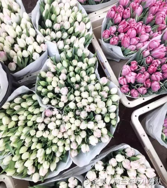 旅行必看｜它是全球唯一的水上鲜花市场，买花逛吃两不误！